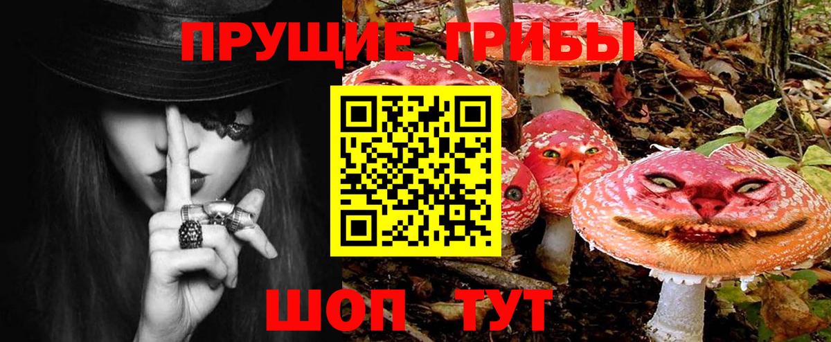 Псилоцибиновые грибы Magic Shrooms  продажа наркотиков  Волгодонск 