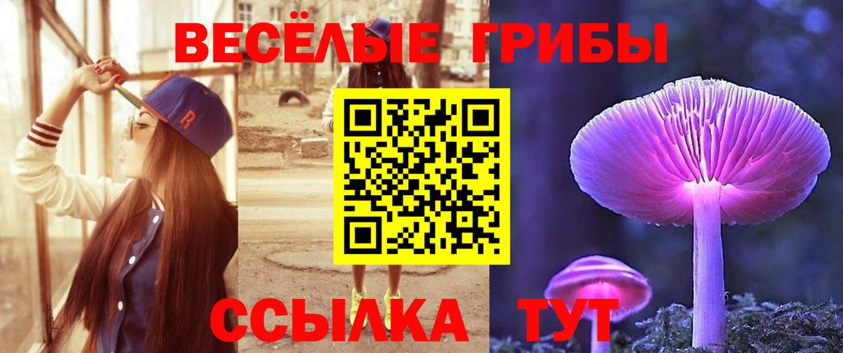 Волгодонск  где продают   Вход с VPN  Галлюциногенные грибы Cubensis 