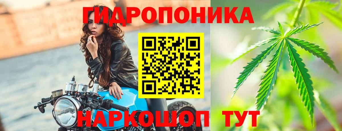 Конопля Bruce Banner Волгодонск